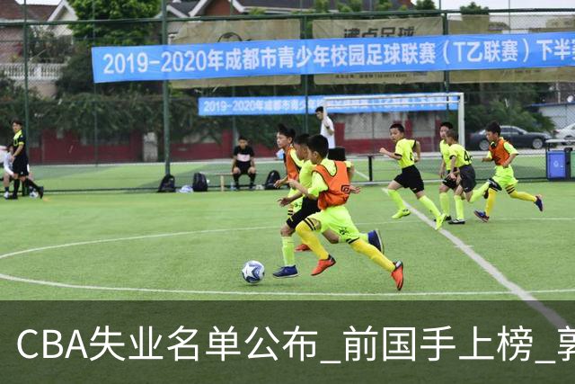 CBA失业名单公布 前国手上榜 郭艾伦拒绝退役 邱彪爱将尴尬